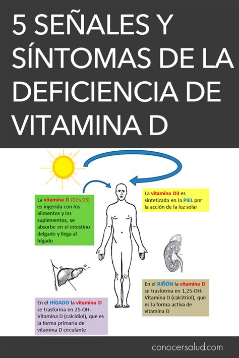 Deficiência De Vitamina D E Doença De Hashimoto